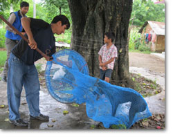 Using the catch net