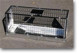 Cat trapping cages