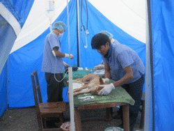 Mobile CNVR Operating Tent